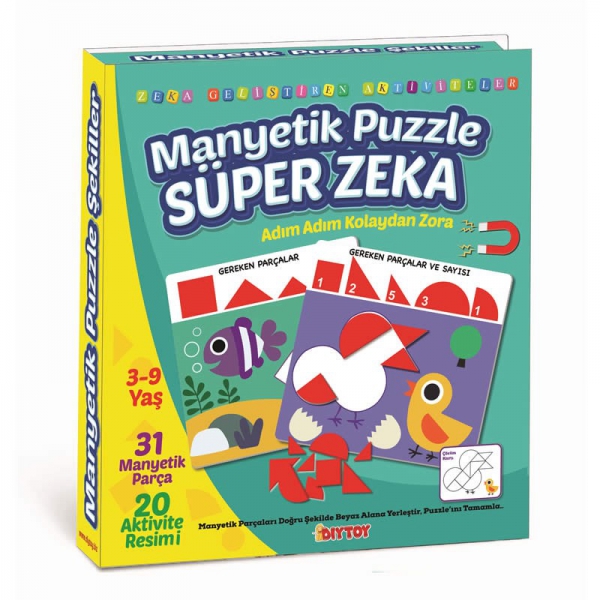 Manyetik Puzzle Süper Zeka